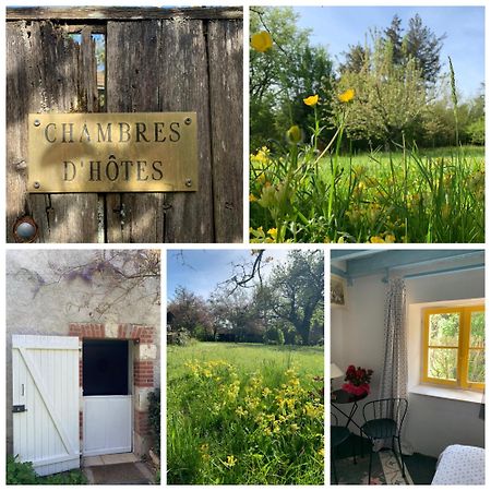 Chambres D'Hotes Les Renardieres Molineuf Екстериор снимка